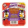 C&S Products C&S Products Berry Treat Assorted Species Beef Suet Wild Bird Food 11.75 oz 12527